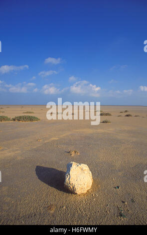 La Tunisie, l'île de la côte, entre Houmt Souk et Aghir El-Kantara. Banque D'Images