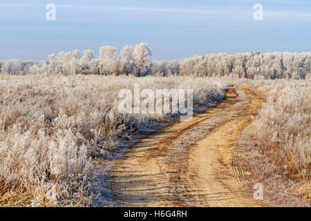 Domaine route couverte de givre, la première Banque D'Images