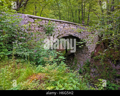 Sur le pont du diable, à proximité de Mostnica en Slovénie Bohinj Banque D'Images