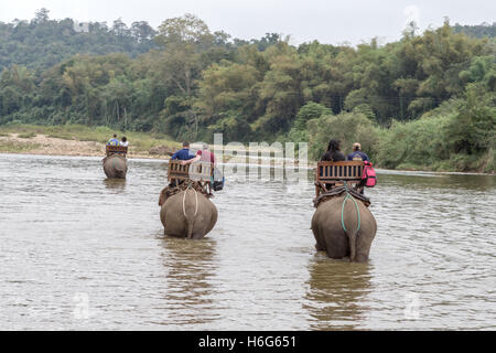 Éléphant d'Asie (asiatique), Elepha maximus, traversant la rivière Nam Khan, avec des touristes, Elephant Village, Ban Xieng LOM, Luang Prabang, Laos Banque D'Images