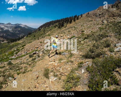 Course en sentier dans les montagnes de la Sierra Nevada près de minéral, Roi de la Californie. Banque D'Images