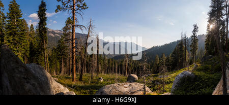 Une vue panoramique depuis le haut dans les montagnes de minéral Roi près de Sequoia National Park, Californie. Banque D'Images