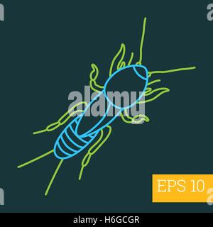 L'insecte vecteur contour mole ponderosa Illustration de Vecteur