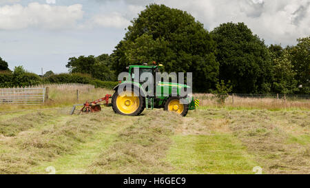 Un tracteur tournant hay un champ d'herbe coupée Banque D'Images