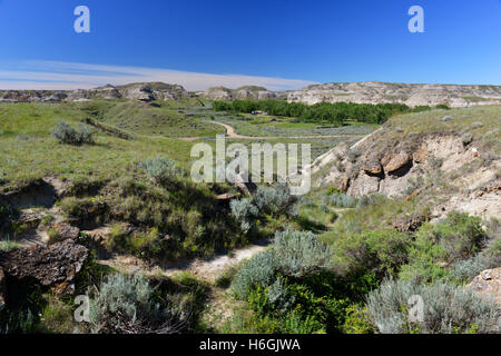Le parc provincial des dinosaures dans une région connue sous le nom de Badlands, Alberta, Canada. Banque D'Images
