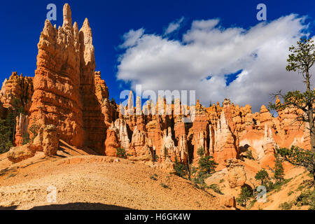 Le majestueux clochers red rock Queens Garden Trail le long du Parc National de Bryce Canyon, Garfield County, Utah, USA Banque D'Images