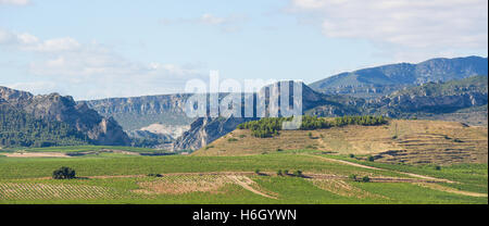Vue sur les vignobles de la région viticole de Rioja Alta près de Haro, La Rioja, Espagne Banque D'Images