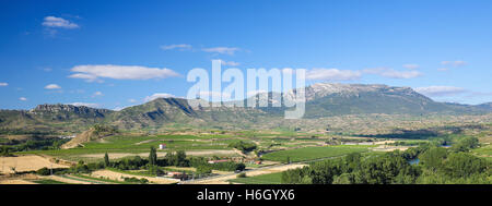 Vue sur les vignobles de la région viticole de Rioja Alta près de Haro, La Rioja, Espagne Banque D'Images