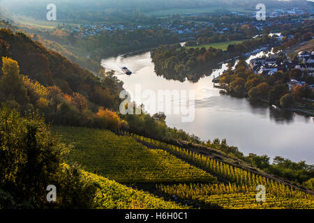 Moselle, dans la vallée de la Moselle, en Allemagne, près de Bernkastel-Kues, rivière, navire de fret Banque D'Images