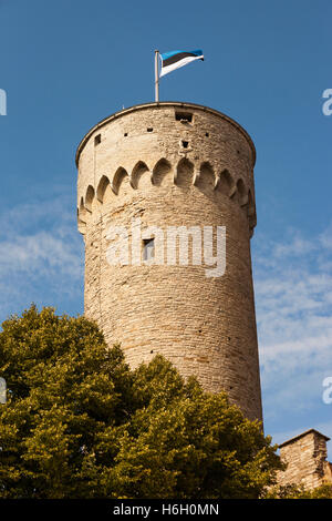 La tour Pikk Hermann, une partie de château de Toompea, Vieille Ville, Tallinn, Estonie Banque D'Images