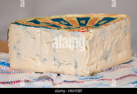 Un gros morceau de fromage gorgonzola. Italie - Piémont Moncalvo Banque D'Images