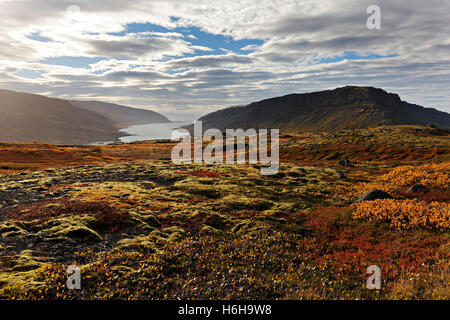 Paysage de fjord, Westfjords, l'Islande, de l'Atlantique Nord, Europe Banque D'Images