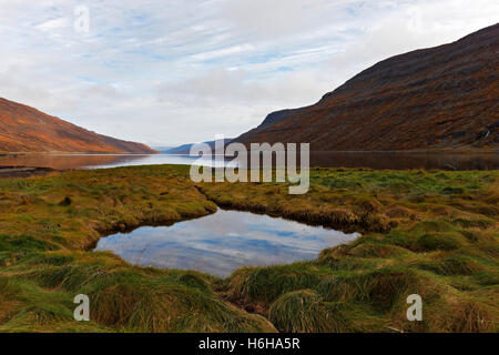 Paysage, Hestfjordur, Westfjords, l'Islande, de l'Atlantique Nord, Europe Banque D'Images