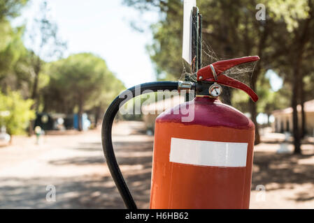Extincteur dans les bois. Des arbres sur l'arrière-plan Banque D'Images