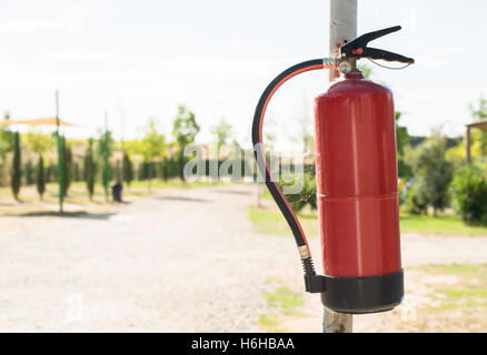 Extincteur dans les bois. Des arbres sur l'arrière-plan Banque D'Images