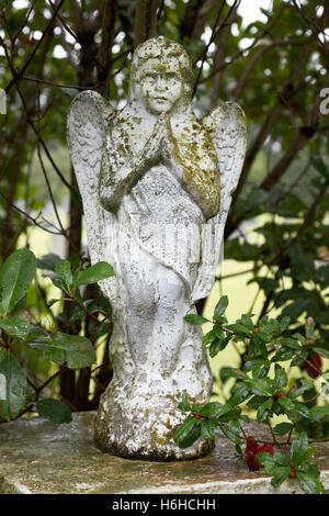 Cimetière couvert de lichens sur socle en pierre ange avec des branches et de la végétation en arrière-plan. Banque D'Images