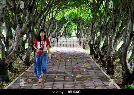 Motion de floue de thai woman walking in frangipaniers tunnel à Nan, Thaïlande Banque D'Images