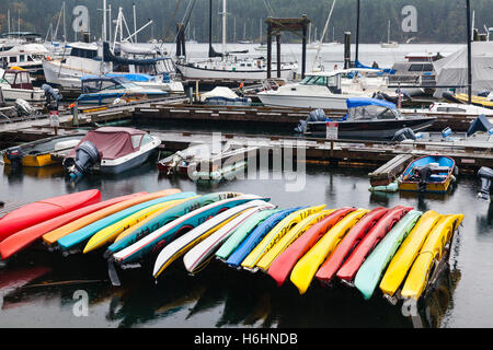 Kayaks stockés pour la saison d'hiver à Montague Harbour sur l'Île Galiano Banque D'Images