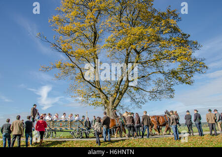 Une tradition bien aimé à la fin de l'année agricole : St Leonhard procession à cheval Banque D'Images