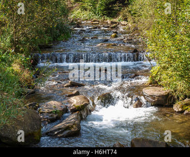 Cours d'eau qui coule dans les montagnes des Carpates surmonter rapids Banque D'Images