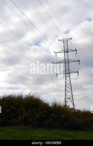 Pylône électrique haute tension dans la campagne Gaumaise Banque D'Images