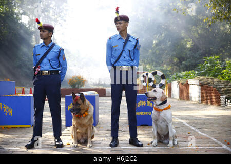 Katmandou, Népal. 29 Oct, 2016. Les responsables de la police népalaise se tiennent près de leurs chiens formés dans le cadre de célébrations et d'honneur lors de la fête du chien ou kukkur qu'tihar se produit lors de la deuxième journée de la deuxième plus grande fête religieuse de cinq jours de Diwali ou Tihar connue sous le nom de Fête des lumières à l'École de formation de chien de police central à Katmandou, au Népal, le samedi 29 octobre, 2016. Credit : ZUMA Press, Inc./Alamy Live News Banque D'Images