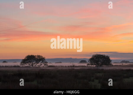 Eastbourne, Angleterre. 29 octobre 2016. Météo britannique. Coucher de soleil sur la Sussex Downs et brume fixant dans les champs. Crédit : Jason Richardson / Alamy Live News Banque D'Images