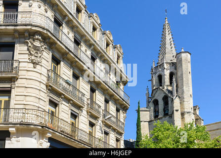 Basilique Saint-Pierre, et les capacités en place Carnot, Avignon, France Banque D'Images