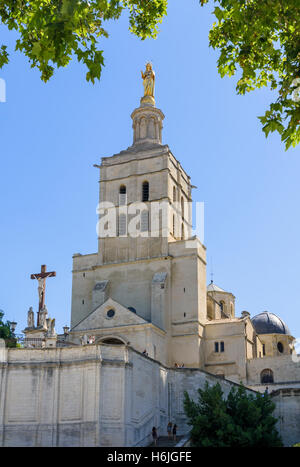 Statue Vierge Marie encadrée d'arbres sur le haut de la tour de la cloche de la cathédrale catholique romaine Avignon, Avignon, France Banque D'Images