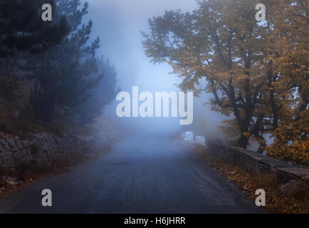 Automne forêt mystique avec road dans le brouillard. Misty automne bois. Paysage avec des arbres colorés, chemin rural, feuillage orange et rouge Banque D'Images