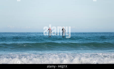 L'arrière de deux hommes en combinaisons de pagayer sur le stand de panneau flottant dans la houle à la baie à Sennen Cove sous peu au lever du soleil, Cornwall, England, UK Banque D'Images