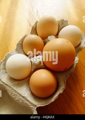 Gros oeuf parmi des oeufs plus petits Banque D'Images