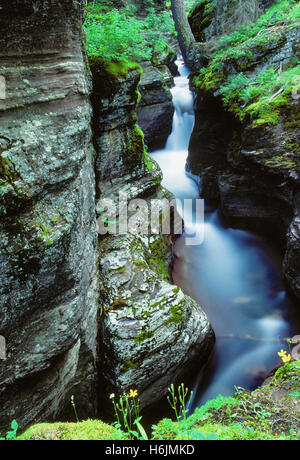 Dans le Canyon de flux Banque D'Images