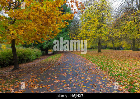 Feuillage d'automne à Laurelhurst Park dans la ville de Portland en Oregon pendant la saison d'automne Banque D'Images