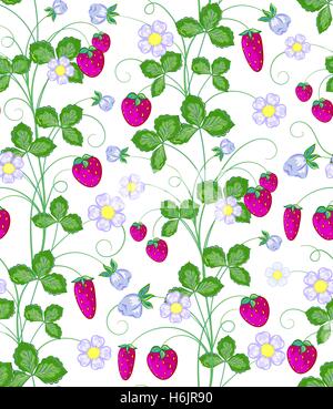 Vector hand drawn seamless pattern de fraises. Illustration de Vecteur
