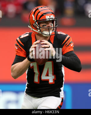 Le quart-arrière des Bengals de Cincinnati Andy Dalton au cours de la NFL International Series match au stade de Wembley, Londres. Banque D'Images