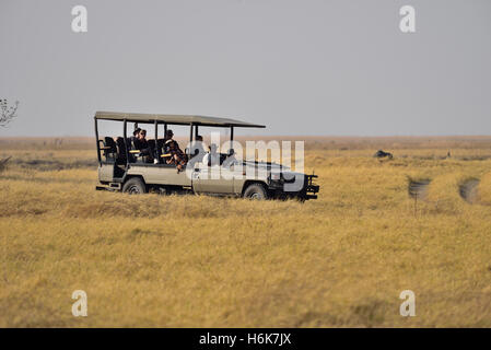 Les touristes en safari en Afrique Banque D'Images