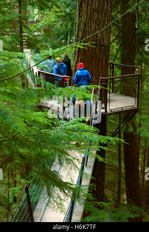 Le Treetops Adventure Park à Capilano, Vancouver, British Columbia, Canada Banque D'Images