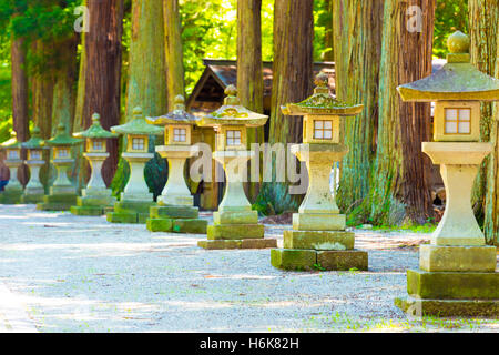 Moyennes lanternes en pierre traditionnelle japonaise alignés dans une rangée pour point de fuite sur un chemin ombragé conduisant à un temple à Ta Banque D'Images