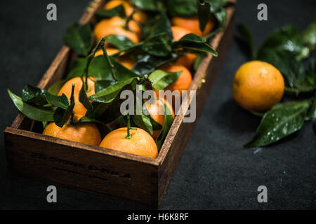 Tangerines fraîches dans des caisses en bois sur fond sombre Banque D'Images