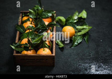 Tangerines fraîches dans des caisses en bois sur fond sombre Banque D'Images