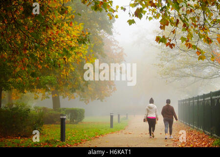 Deux amis se promener dans un parc Finsbury misty à Londres Banque D'Images