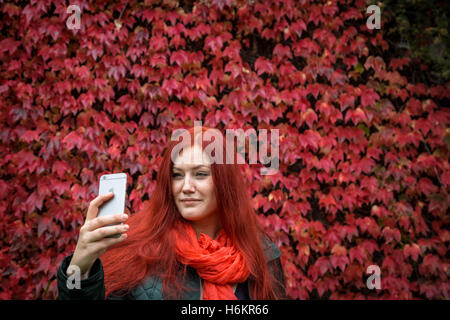 Une femme à la tête rouge prend une photo de l'intense selfies-automne couleurs rouge de lierre Japonais ou Boston ivy (du Parthenocissus tricuspidata) vu sur les murs dans le centre de Londres, au Royaume-Uni. Banque D'Images