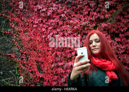Une femme à la tête rouge prend une photo de l'intense selfies-automne couleurs rouge de lierre Japonais ou Boston ivy (du Parthenocissus tricuspidata) vu sur les murs dans le centre de Londres, au Royaume-Uni. Banque D'Images