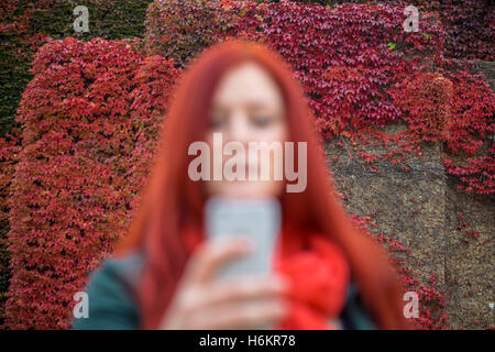 Une femme à la tête rouge prend une photo de l'intense selfies-automne couleurs rouge de lierre Japonais ou Boston ivy (du Parthenocissus tricuspidata) vu sur les murs dans le centre de Londres, au Royaume-Uni. Banque D'Images