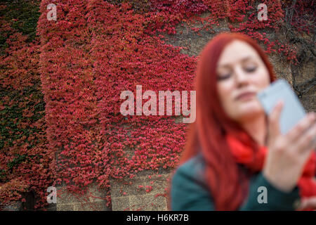 Une femme à la tête rouge prend une photo de l'intense selfies-automne couleurs rouge de lierre Japonais ou Boston ivy (du Parthenocissus tricuspidata) vu sur les murs dans le centre de Londres, au Royaume-Uni. Banque D'Images