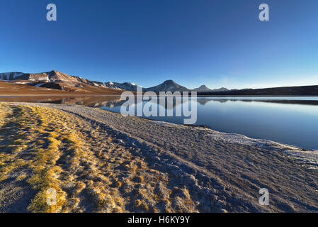 Lake lejía' ( avec sa belle végétation verdâtre jaune couverts les marges et les volcans en arrière-plan. Banque D'Images