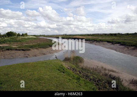 Marais Crayford River Cray et la rivière Darent Banque D'Images