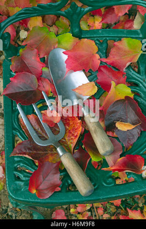 Truelle de jardin et la fourche avec des feuilles de vigne vierge Parthenocissus quinquefolia Banque D'Images