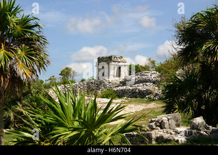 Les ruines mayas de Tulum Banque D'Images